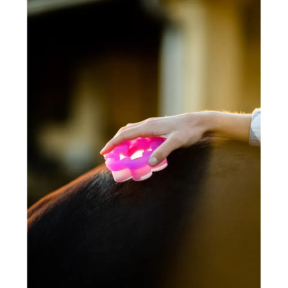 Shed Flower - Image 3