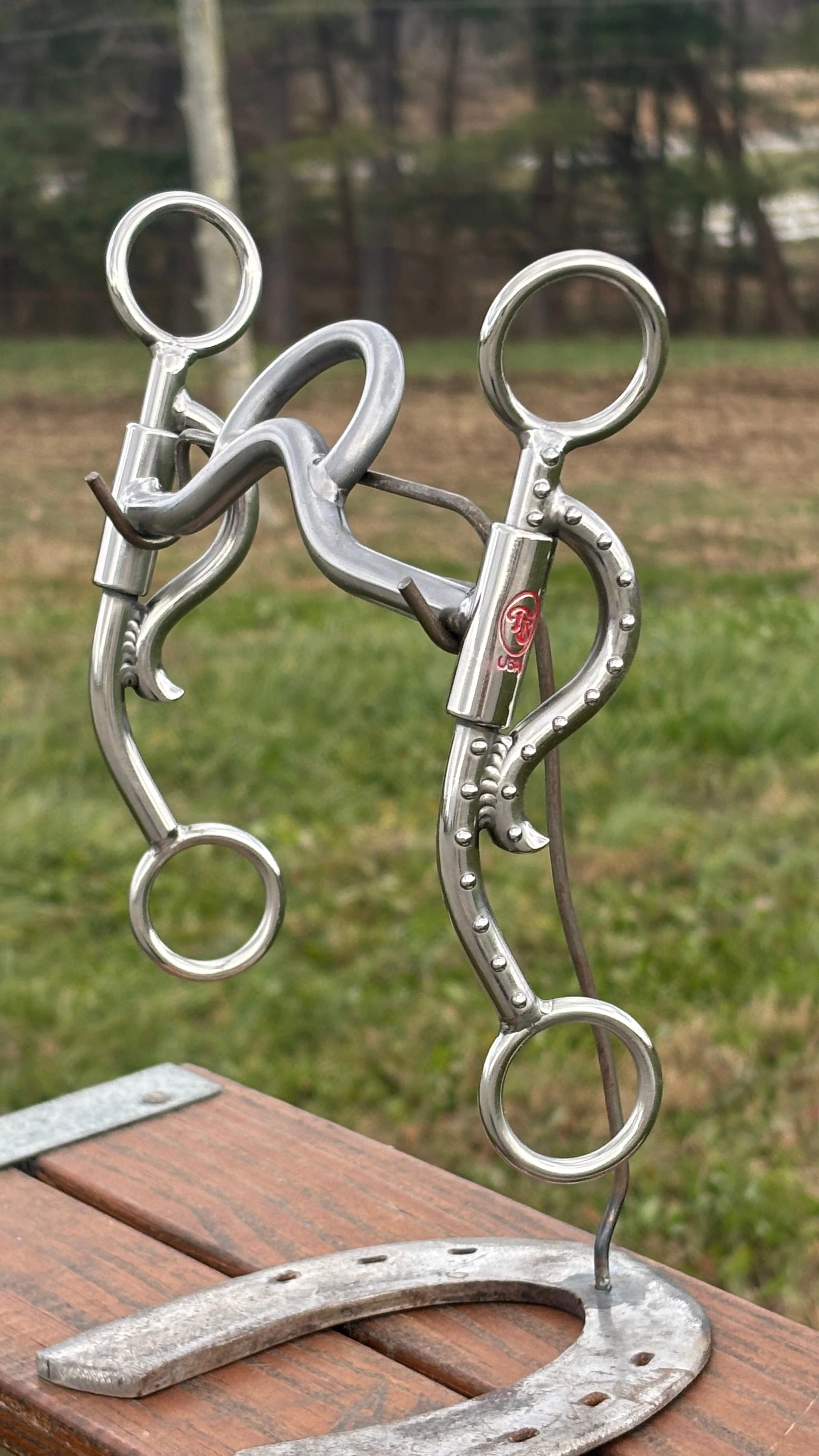 Short Horn Horizon - Image 3