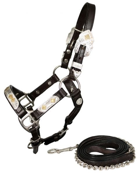 Show Halter ~ Gold Diamond ~ Mini - Image 3