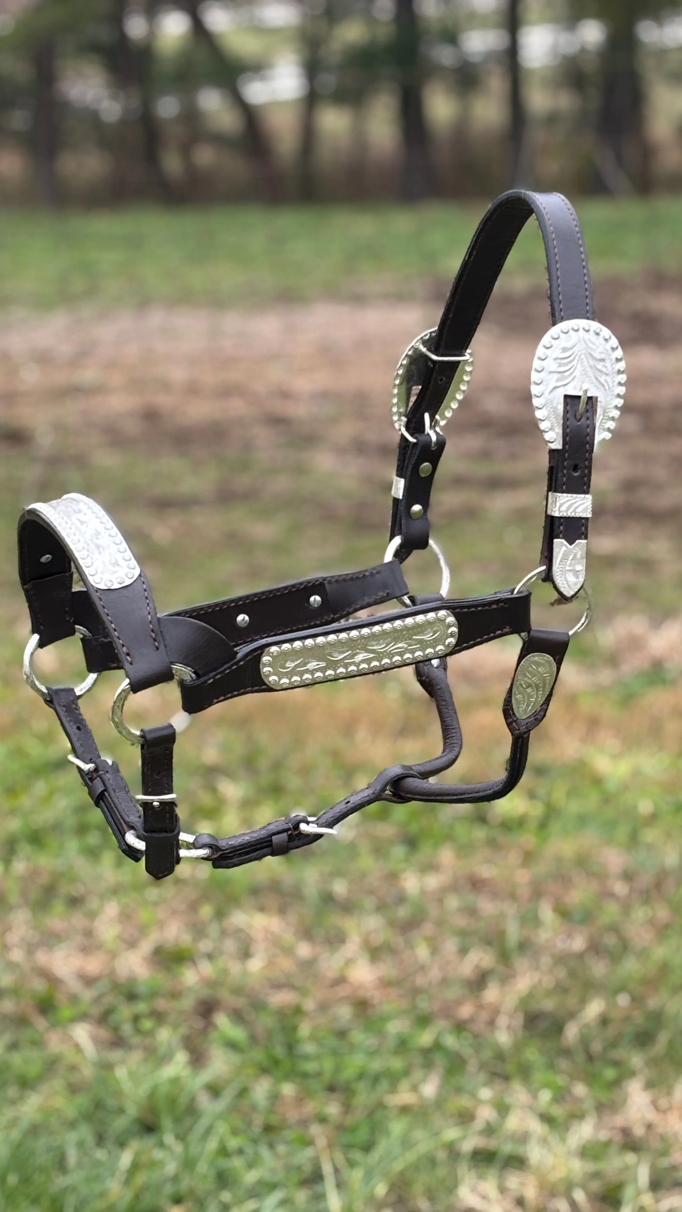 Show Halter ~ Horse - Image 4