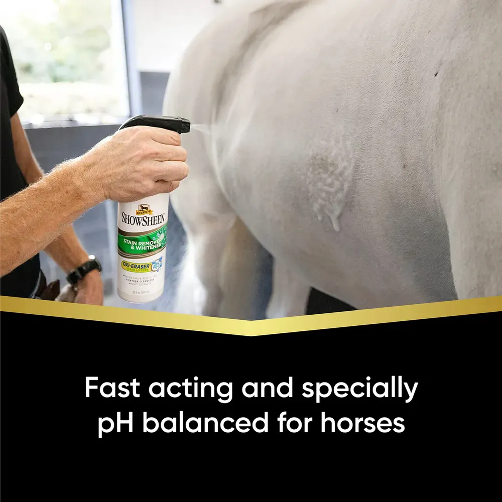 ShowSheen Stain Remover & Whitener - Image 3