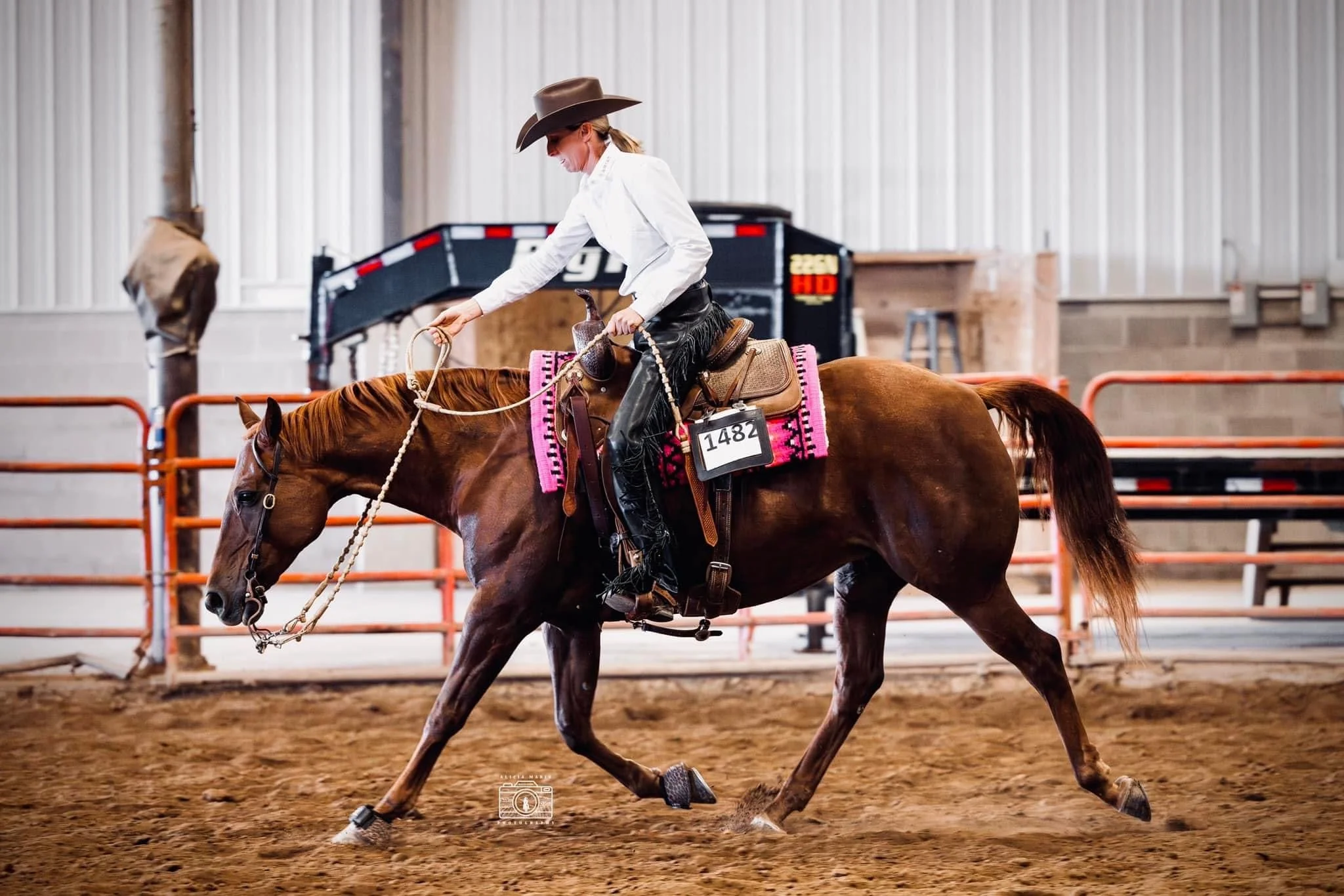 Smooth Leather Equitation Chaps - Image 6