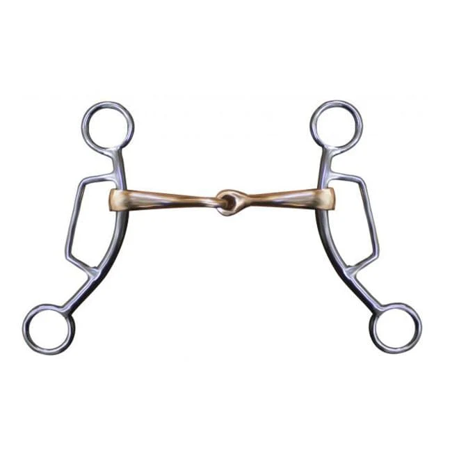SS Sliding Gag Bit