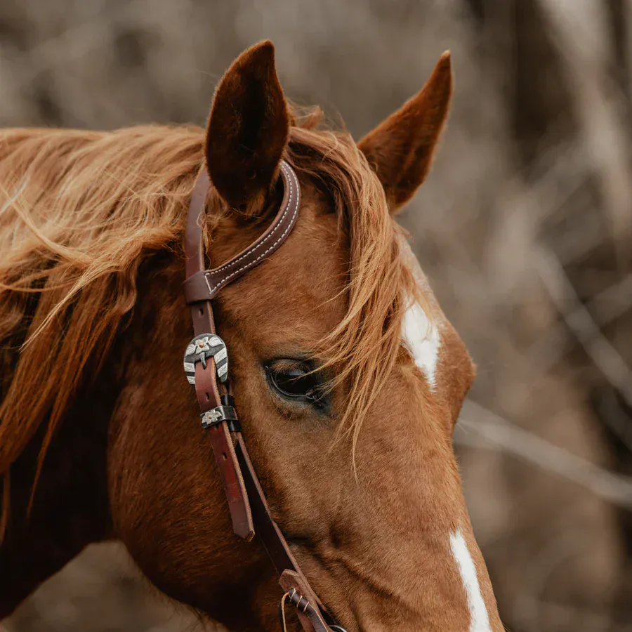 STS Ranch Harness Leather Sliding Ear