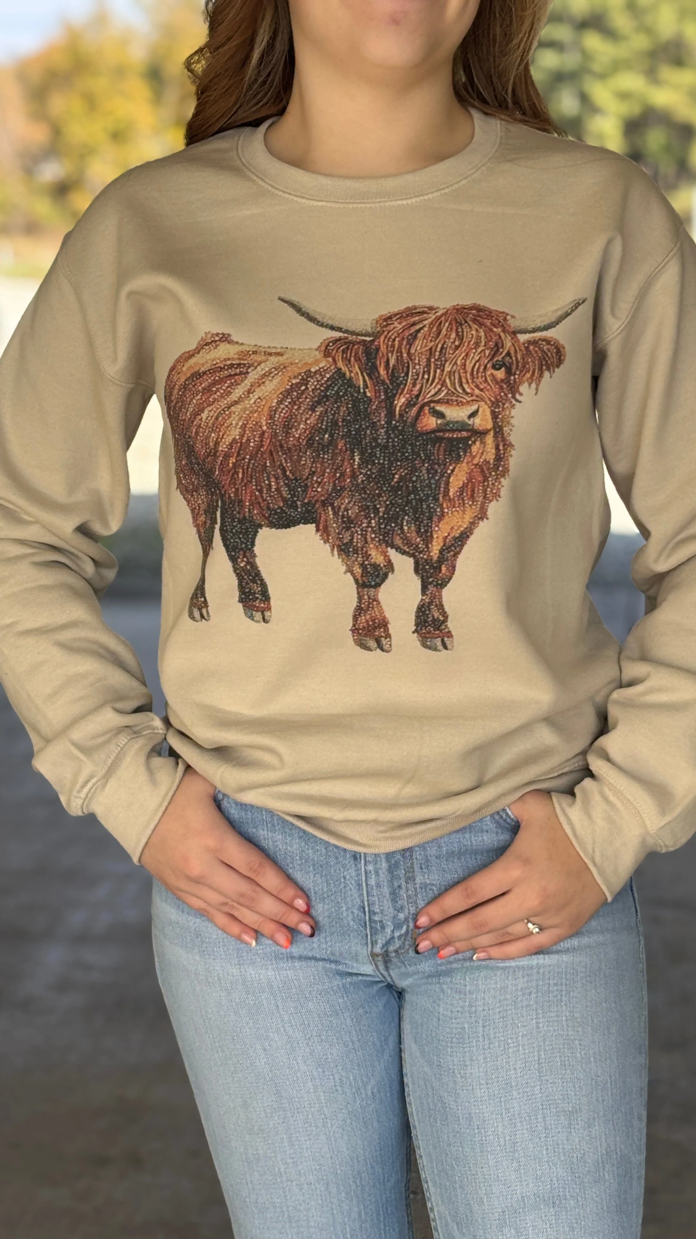 The Bedazzled Highland Sweatshirt