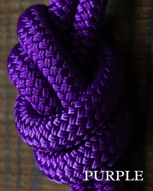 Timeless Collection Lead Ropes~ Purple Snap