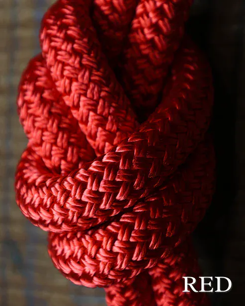 Timeless Collection Lead Ropes ~ Red