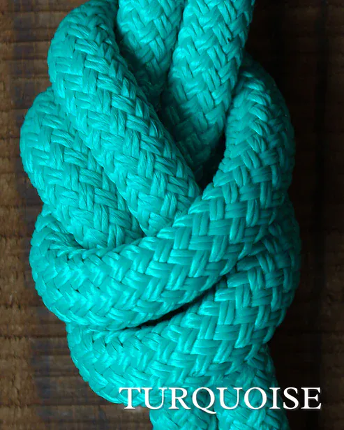 Timeless Collection Lead Ropes~ Turquoise Snap