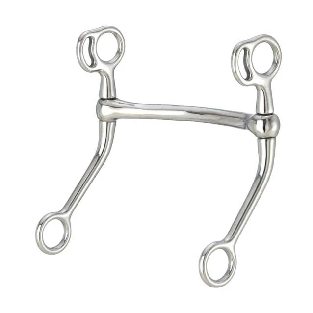 TOUGH1 STAINLESS STEEL MULLEN BIT