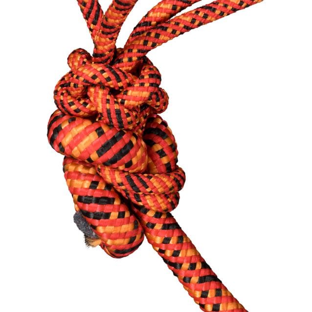 Tri Color Rope Halter With Lead - Image 4