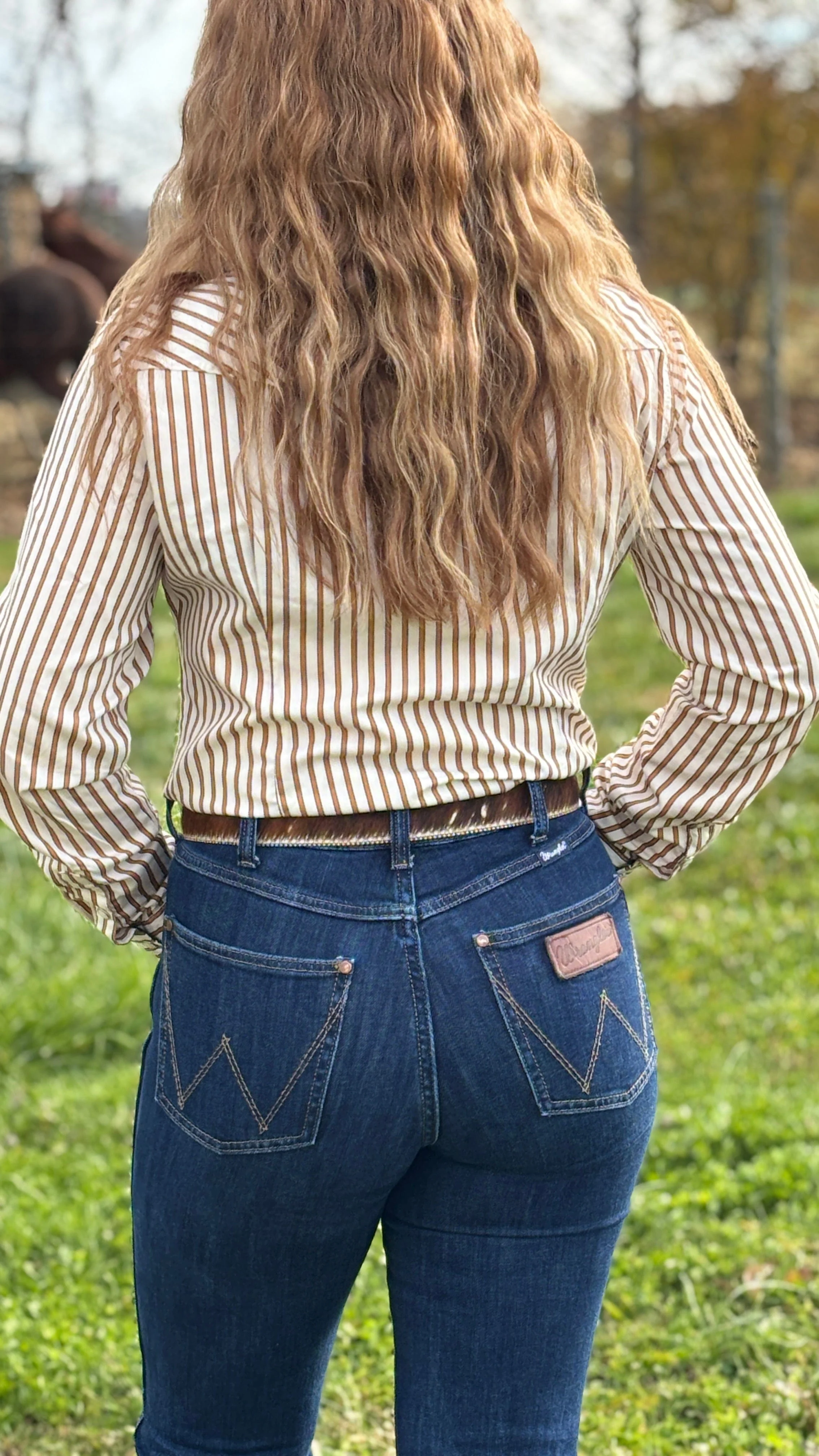 Wrangler All Occasion Western Shirt - Image 3